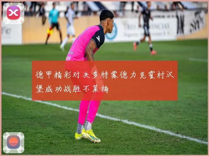 德甲精彩对决多特蒙德力克霍村汉堡成功战胜不莱梅